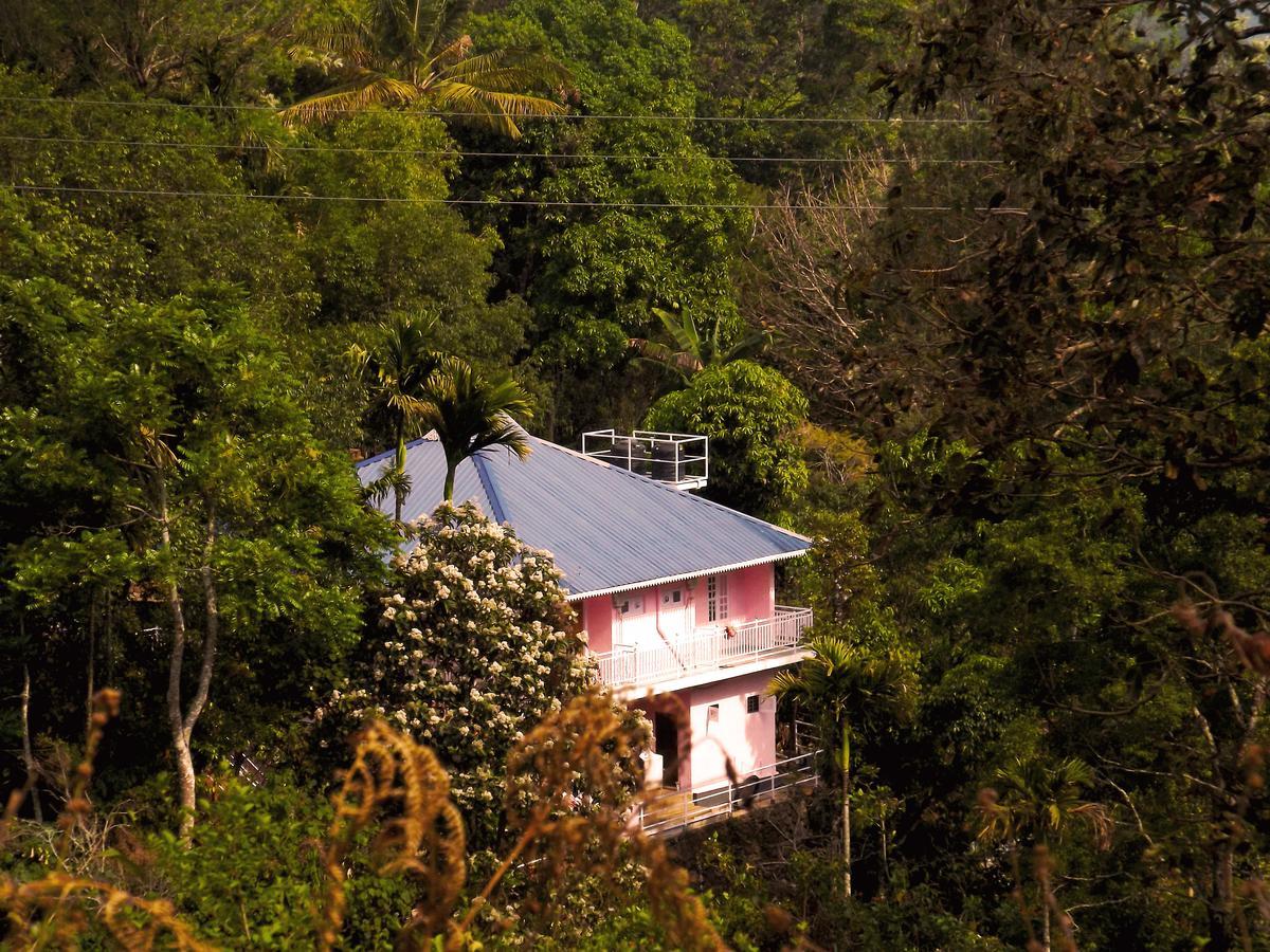 Drizzle Valley Cottage Munnar Esterno foto